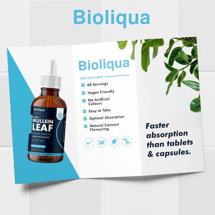 Mullein Leaf Liquid Drops | 60ml